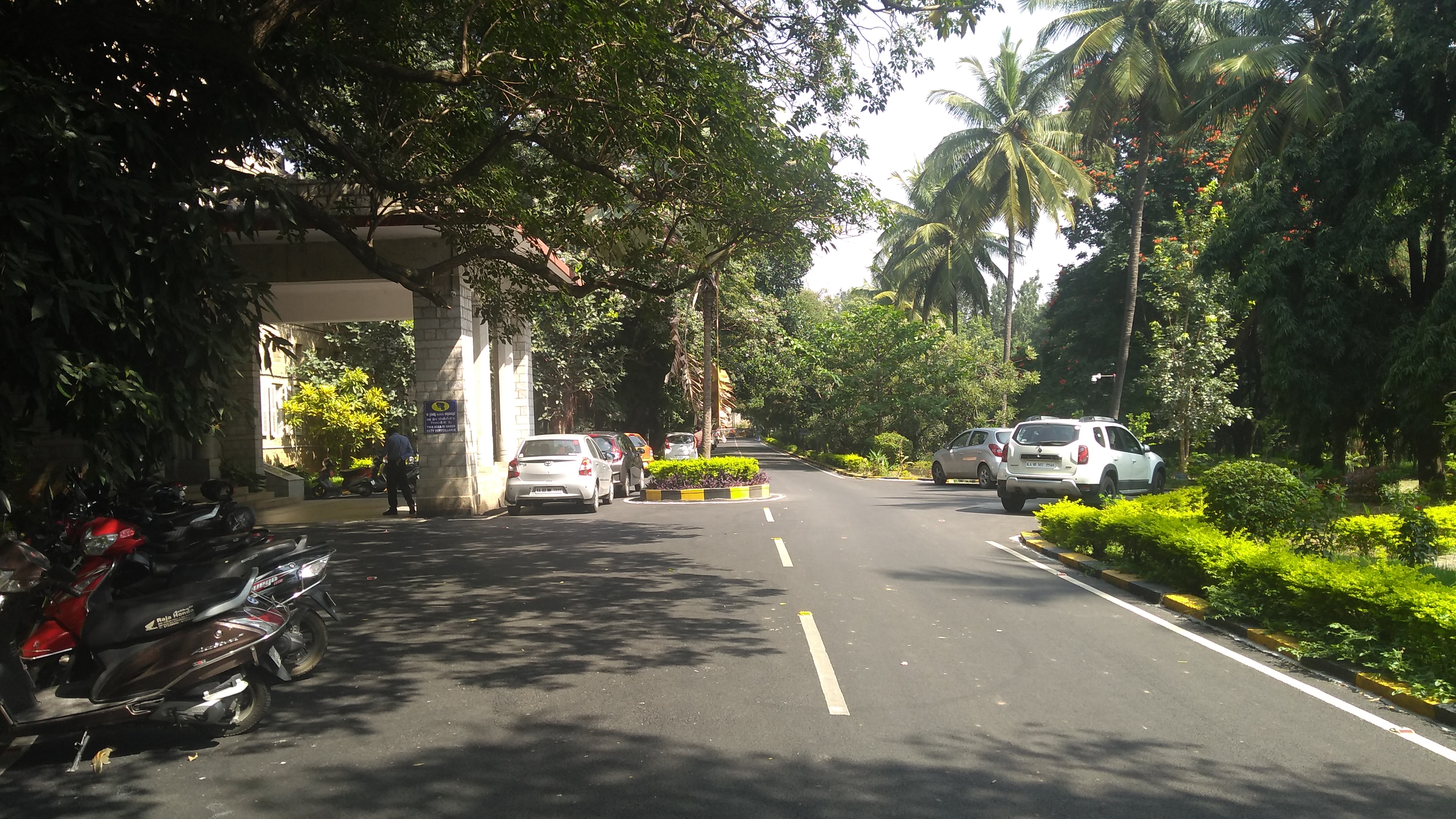 Bangalore’s Mental Health Scene: A Unique Blend of Tradition and Innovation