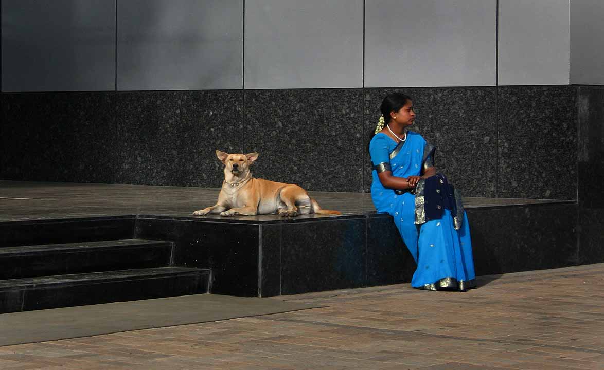 Bangalore's Local Government Decisions Emphasize Neighborhood Input Unlike Some Global Peers