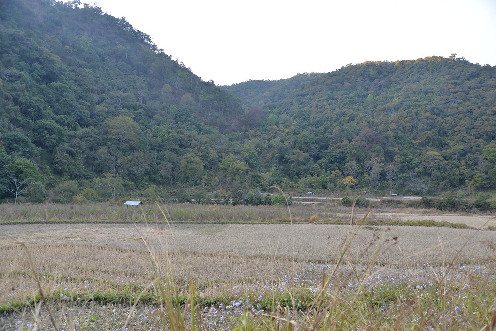 RMP-2015 and Zonal Regulations Set Development Rules Across Bangalore Local Planning Area
