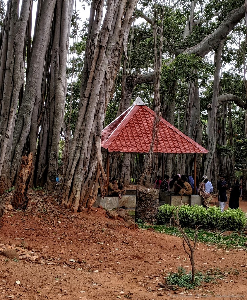 Bangalore Residents Transform Health Through Neighborhood Fitness Groups