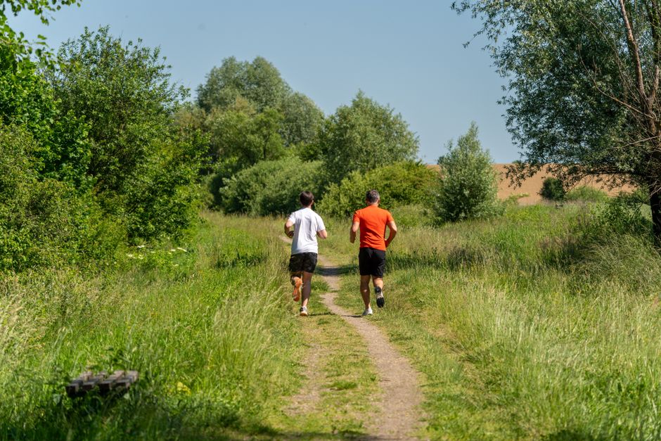 Bangalore's Free Weekly 5K Parkruns Transform How City Moves