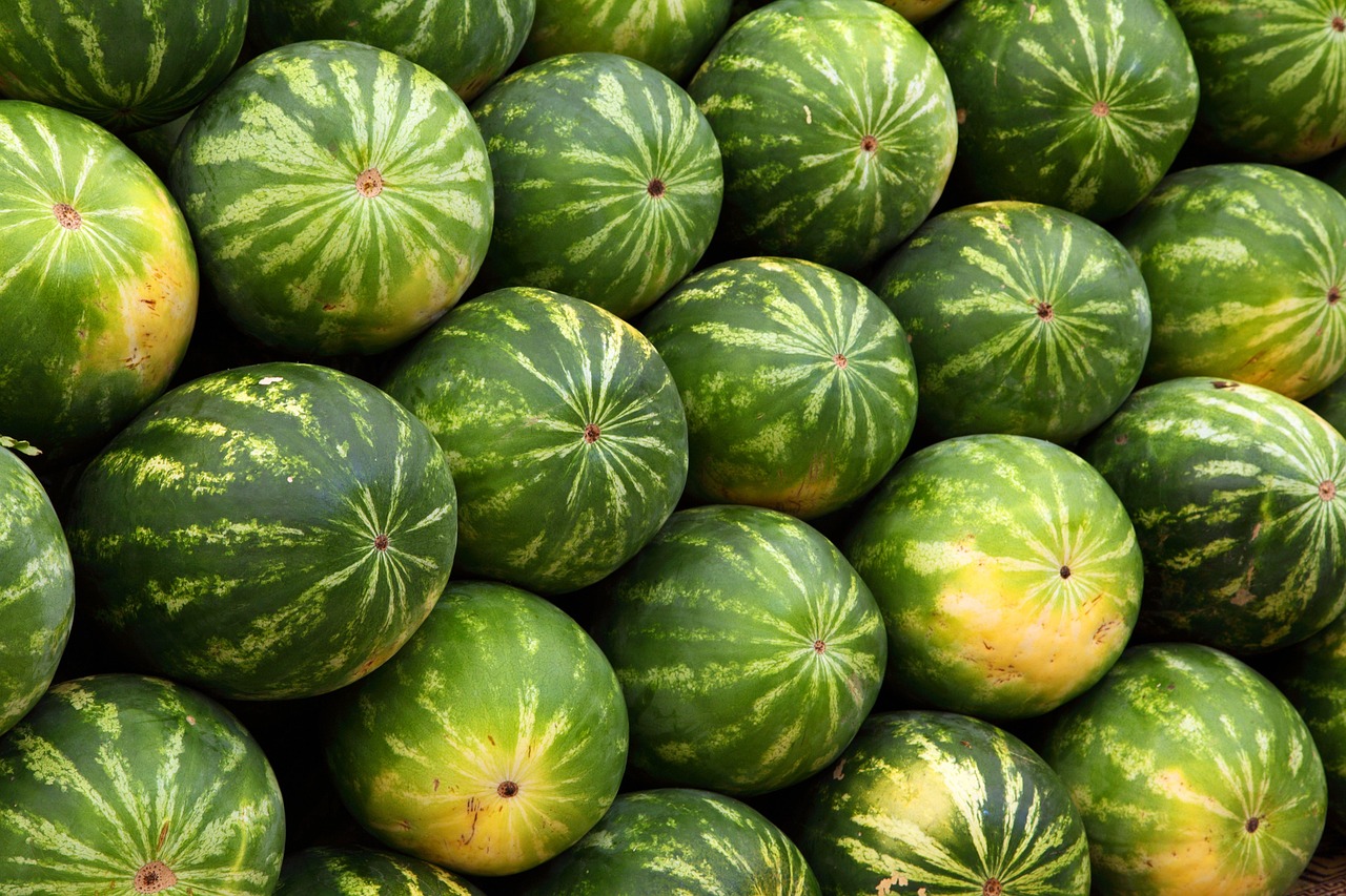 Bangalore's Best Farmers Markets: What to Buy This Season
